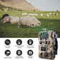 Dsoon H8201 Wildkamera, Wildtierkamera 4K Nachtsicht Handyübertragung 32GB