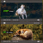 Dsoon H8201 Wildkamera, Wildtierkamera 4K Nachtsicht Handyübertragung 32GB
