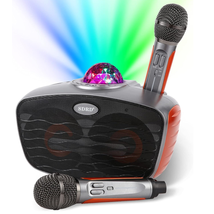 RUBEHOOW Karaoke Maschine mit 2 drahtlosen Mikrofonen und buntem  Disco Lichteffekt