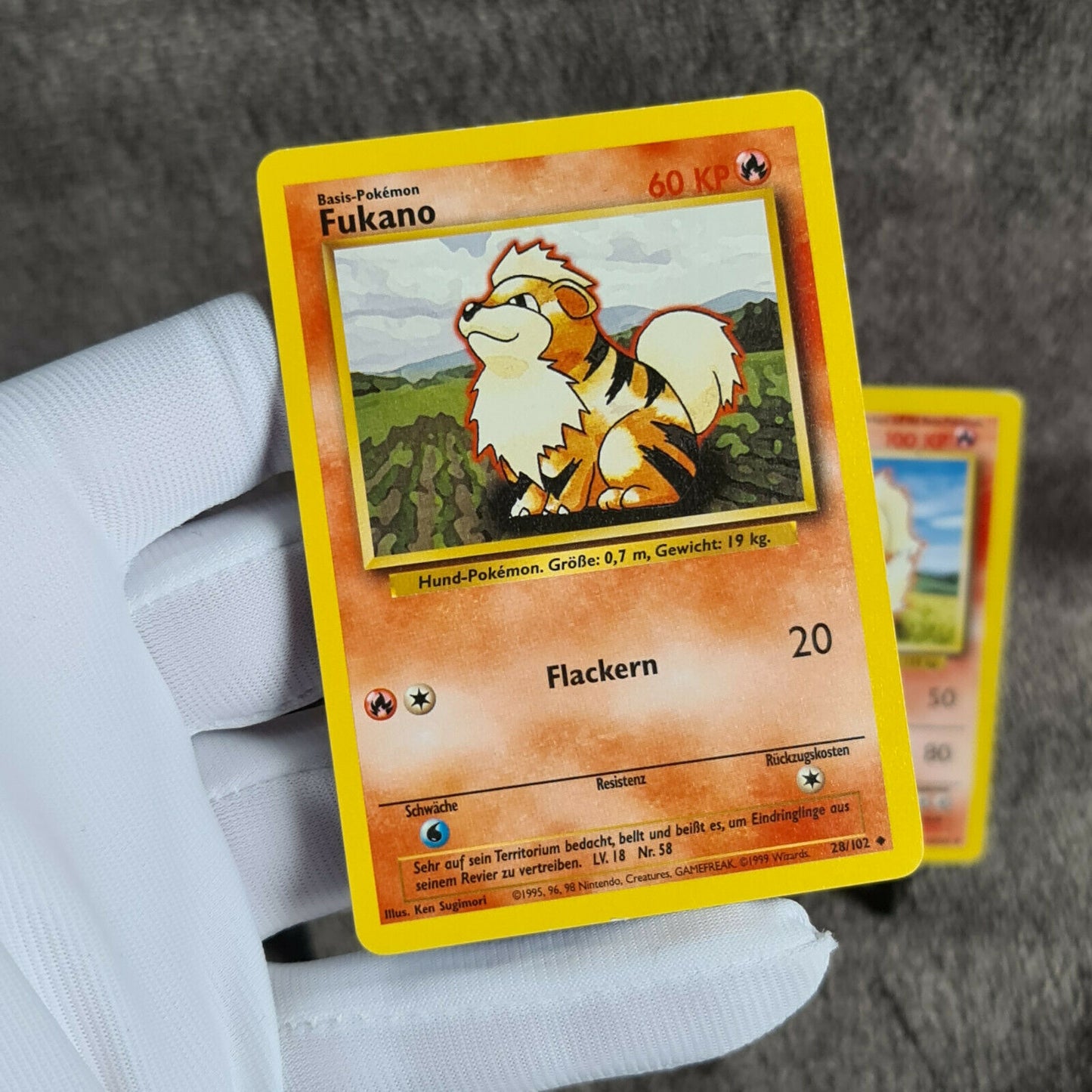 Pokemon Karten | Fukano 28/102 | Arkani 23/102 | TCG | deutsch