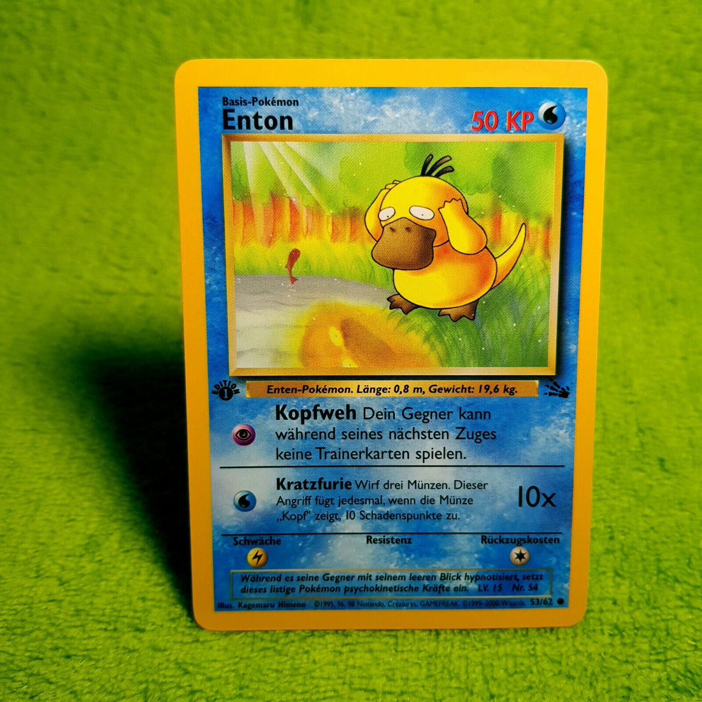 Pokemon - Enton 53/62 - 1. Edition - Fossil Set (1999) - MINT