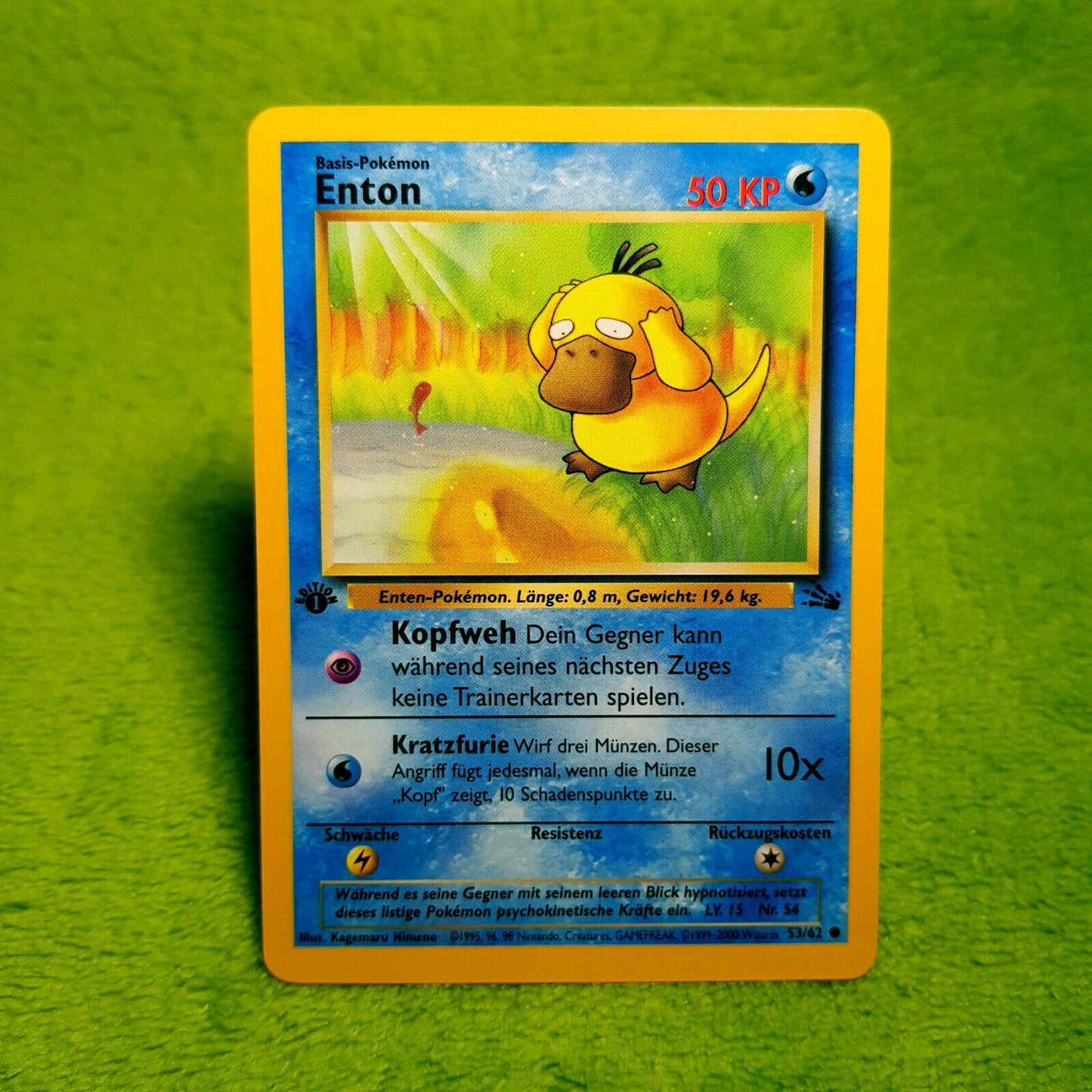 Pokemon - Enton 53/62 - 1. Edition - Fossil Set (1999) - MINT